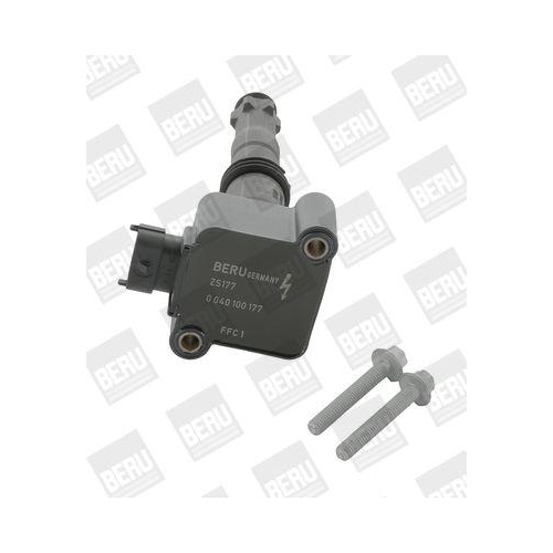 BorgWarner (BERU) Z&uuml;ndspule ZS177