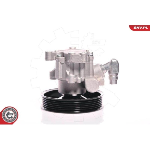 ESEN SKV Hydraulikpumpe, Lenkung 10SKV140