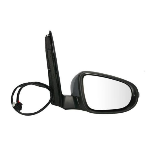 BLIC Außenspiegel 5402-01-2002734P