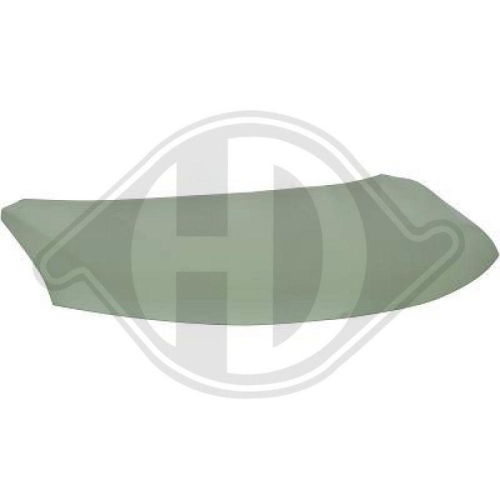 DIEDERICHS Motorhaube 6087800