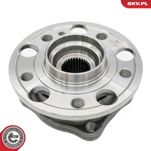 ESEN SKV Radlagersatz 29SKV623