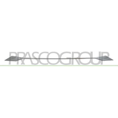 PRASCO Zier-/Schutzleiste, Sto&szlig;f&auml;nger PG5252206