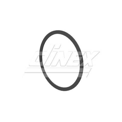 DINEX Dichtung, Abgasrohr 2AL013