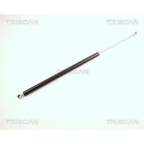 TRISCAN Gasfeder, Koffer-/Laderaum 8710 24209