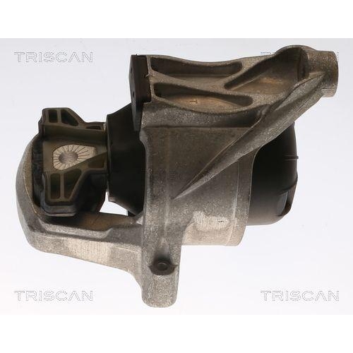 TRISCAN Lagerung, Motor 8505 29168