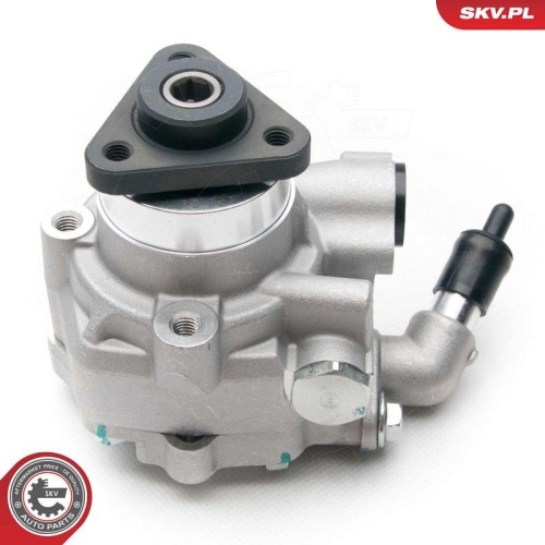 ESEN SKV Hydraulikpumpe, Lenkung 10SKV194
