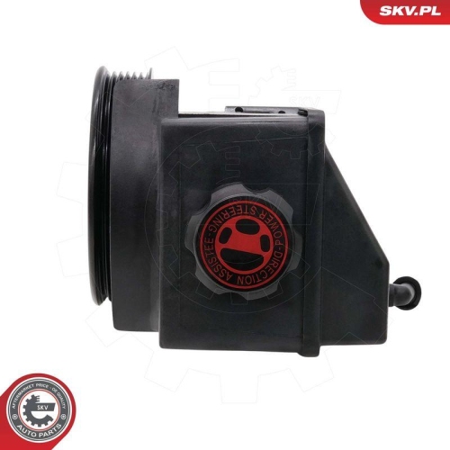 ESEN SKV Hydraulikpumpe, Lenkung 10SKV332