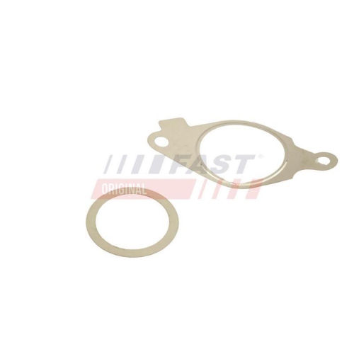 FAST Dichtungssatz, AGR-System FT50614