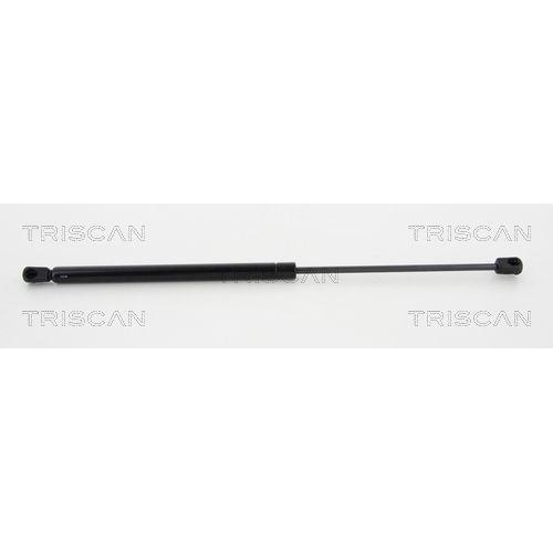 TRISCAN Gasfeder, Koffer-/Laderaum 8710 24241