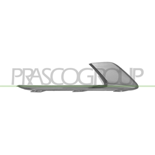 PRASCO Zier-/Schutzleiste, Sto&szlig;f&auml;nger MG6021243