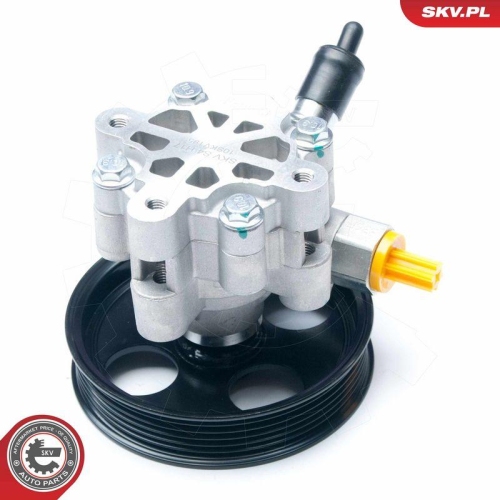 ESEN SKV Hydraulikpumpe, Lenkung 10SKV195