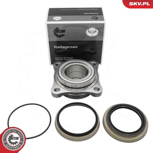 ESEN SKV Radlagersatz