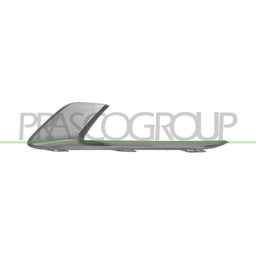 PRASCO Zier-/Schutzleiste, Sto&szlig;f&auml;nger MG6021244