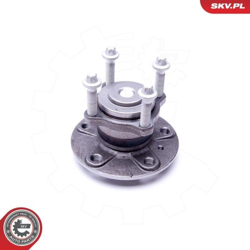 ESEN SKV Radlagersatz 29SKV295