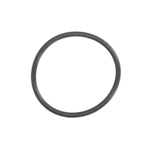 ENGITECH Dichtung, Differential ENT030018