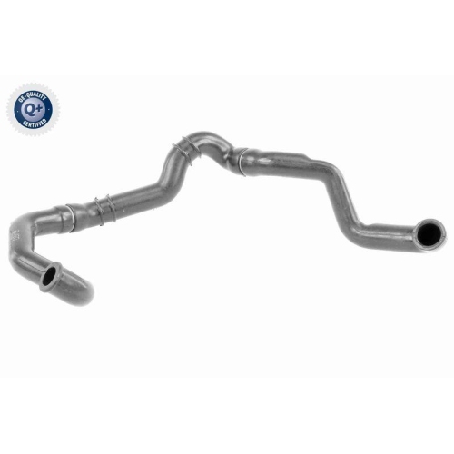 VAICO Schlauch, Zylinderkopfhaubenentlüftung Q+, Erstausrüsterqualität