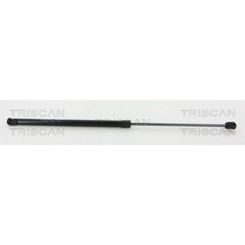 TRISCAN Gasfeder, Koffer-/Laderaum 8710 24261