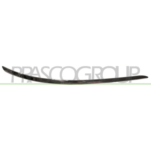 PRASCO Zier-/Schutzleiste, Sto&szlig;f&auml;nger ME4221227