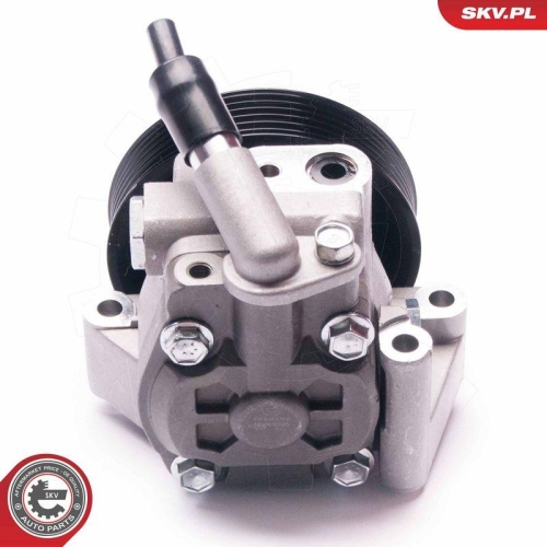 ESEN SKV Hydraulikpumpe, Lenkung 10SKV215