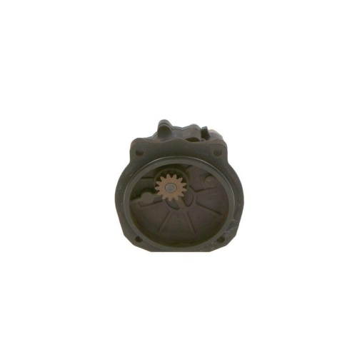 BOSCH Kraftstoffpumpe 0 440 020 066