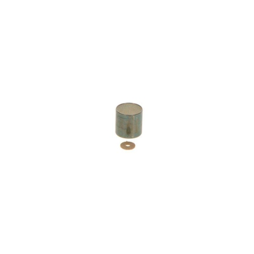 BOSCH Buchse F 00N 201 985