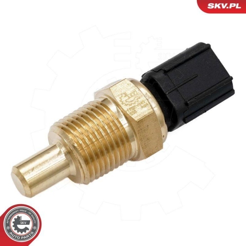 ESEN SKV Sensor, K&uuml;hlmittelstand 17SKV843