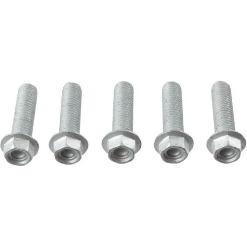 TRW Schraubensatz, Bremsscheibe MSS150-5