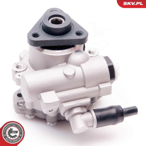 ESEN SKV Hydraulikpumpe, Lenkung 10SKV220