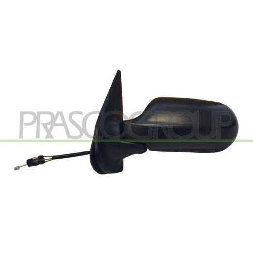 PRASCO Au&szlig;enspiegel FT1148114