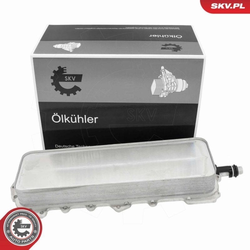ESEN SKV &Ouml;lk&uuml;hler, Motor&ouml;l 31SKV362