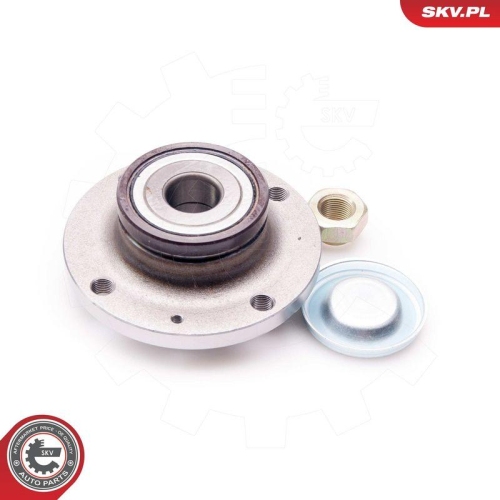 ESEN SKV Radlagersatz 29SKV093