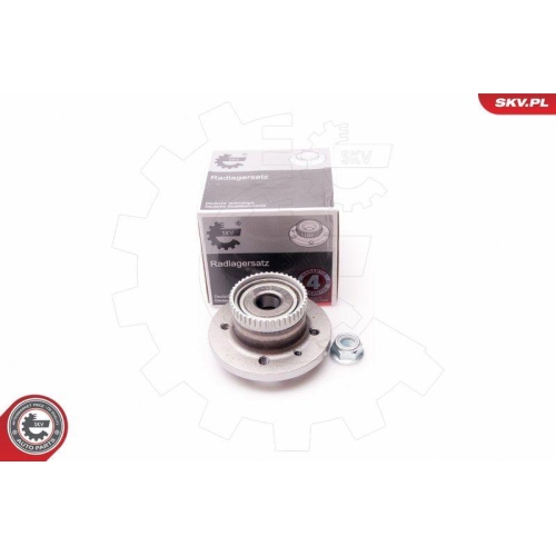 ESEN SKV Radlagersatz