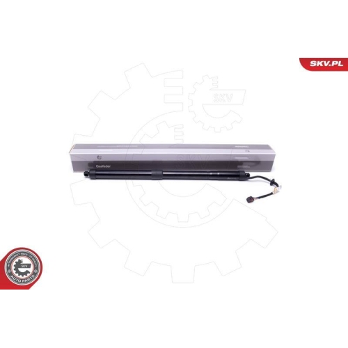 ESEN SKV Elektromotor, Heckklappe 52SKV920