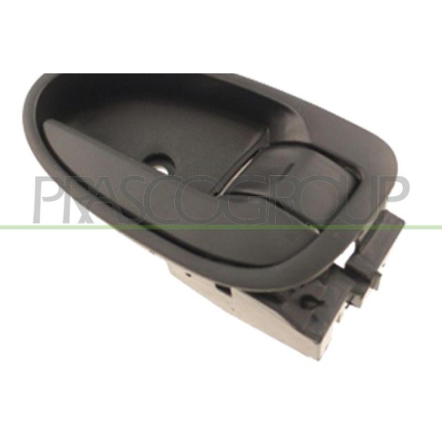 PRASCO T&uuml;rgriff, Innenausstattung TY3258601