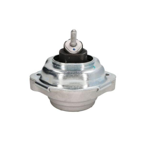 REINHOCH Lagerung, Motor RH11-0147