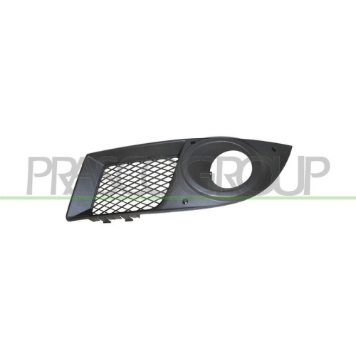 PRASCO L&uuml;ftungsgitter, Sto&szlig;f&auml;nger FT9092134