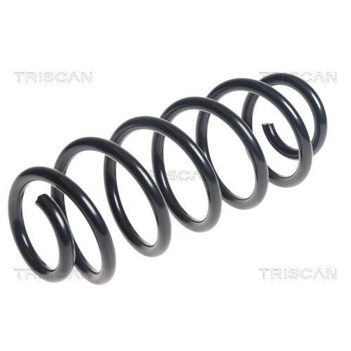 TRISCAN Fahrwerksfeder 8750 13197