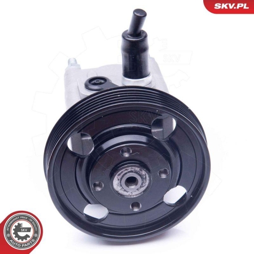 ESEN SKV Hydraulikpumpe, Lenkung 10SKV257