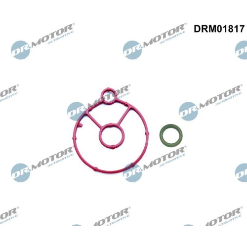 Dr.Motor Automotive Dichtungssatz, &Ouml;lk&uuml;hler DRM01817
