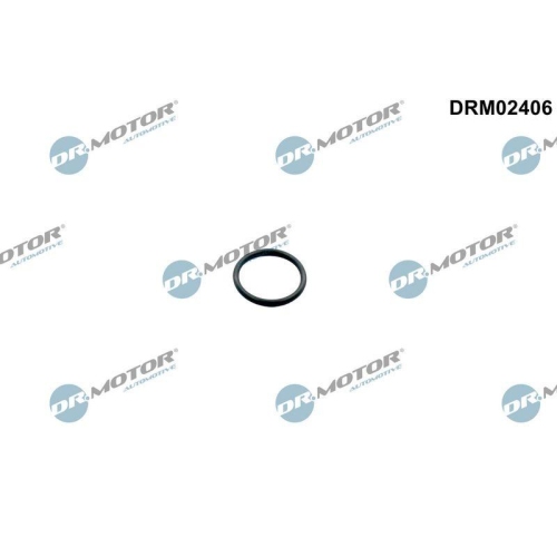 Dr.Motor Automotive Dichtring DRM02406