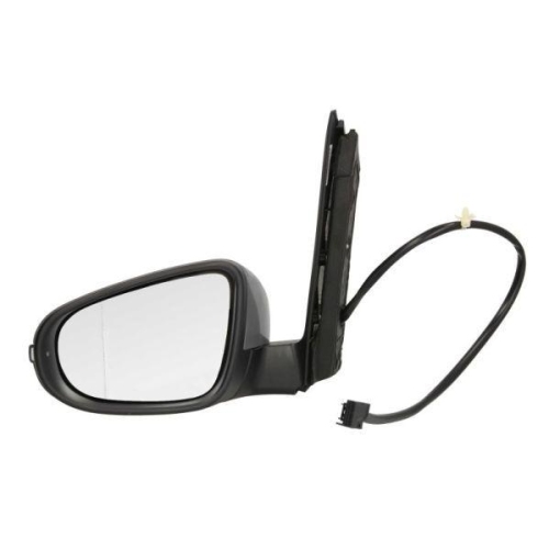 BLIC Außenspiegel 5402-01-2002733P