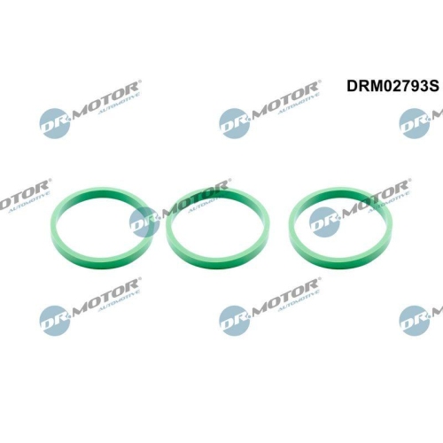 Dr.Motor Automotive Dichtungssatz, Ansaugkr&uuml;mmer DRM02793S