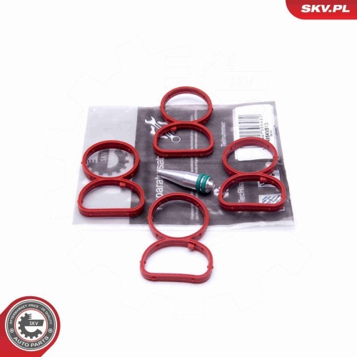 ESEN SKV Reparatursatz, Saugrohrmodul 49SKV513