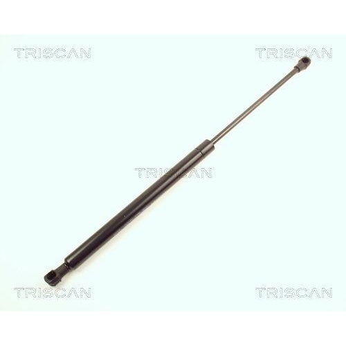 TRISCAN Gasfeder, Koffer-/Laderaum 8710 28221