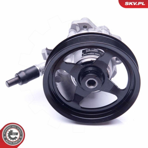 ESEN SKV Hydraulikpumpe, Lenkung 10SKV266