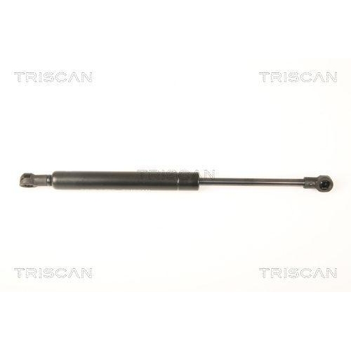 TRISCAN Gasfeder, Koffer-/Laderaum 8710 28241