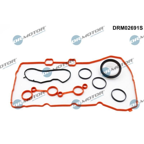 Dr.Motor Automotive Dichtungssatz, Steuergeh&auml;use DRM02691S