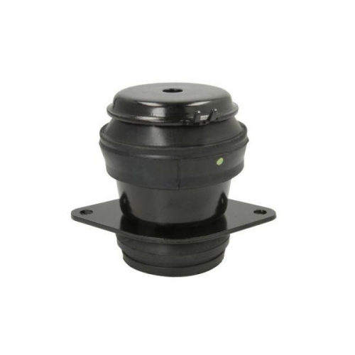 REINHOCH Lagerung, Motor RH11-0040