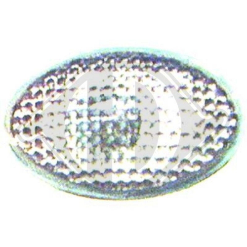 DIEDERICHS Blinkleuchte HD Tuning 1812077