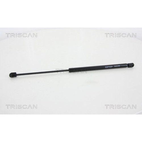 TRISCAN Gasfeder, Heckscheibe 8710 28246